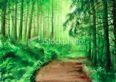 Зеленый туманный лес